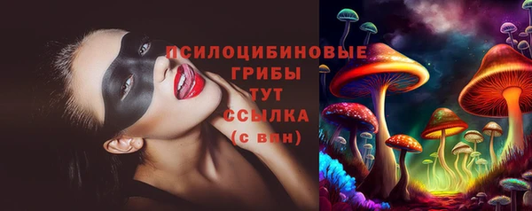 соль ск Балахна