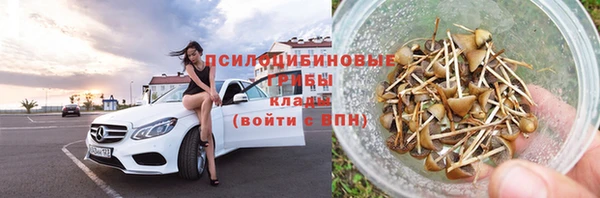 соль ск Балахна